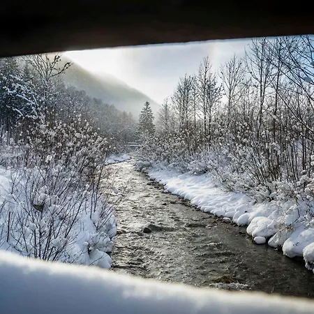 Scharfetter Anna Lejlighed