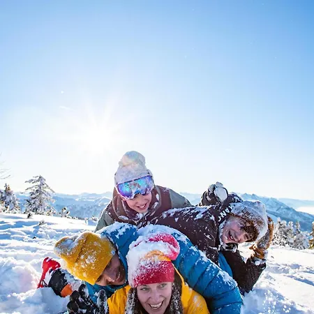 Scharfetter Anna Flachau