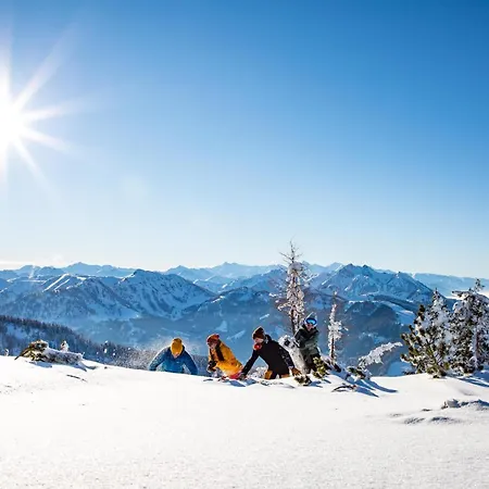 Scharfetter Anna Apartament Flachau